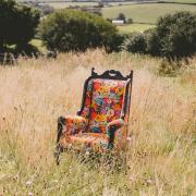 Will's Bumblebee Garden chair in his back garden which has areas of wild meadow. Photo: Will Bees