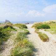 West Wittering's golden beach is dotted with marram grass