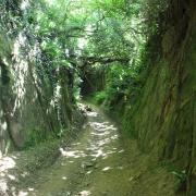 Hell Lane, an ancient holloway.