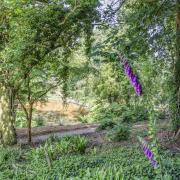 Enjoy a woodland walk followed by a visit to the Occombe Farm cafe.