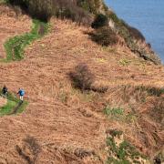 Walkers on the Kings Charles Coastal Path between Scarborough and Robin Hood's Bay.