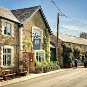 The Barrington Boar is located in the village of Barrington near to Ilminster.