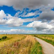 This 3 mile walk around Steart Marshes takes under an hour.