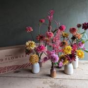 Petalon's 'field flowers' are grown from their regenerative farm in Cornwall