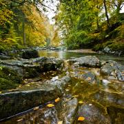 River Esk (Image: Cumbria Tourism/Dave Willis)