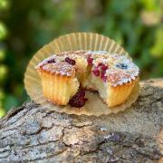 berry friands