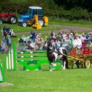 Westmorland Show