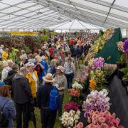 Visitors at the RHS Flower Show Tatton Park 2023.
