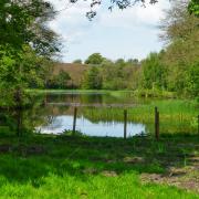 New Pool, near Whitegate.