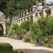 The sheltered position of the Exotic Borders allows borderline hardy plants to thrive.