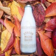 Stroud Micro Dairy raw milk