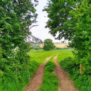 Field crossing to Petty Close Lane