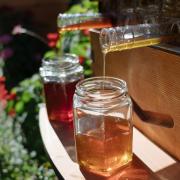 Raw honey, straight from the hive is delicious. Photo: