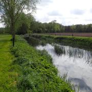 River Blackwater