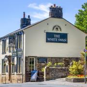 The White Swan