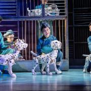 A scene from 101 Dalmatians: The Musical