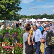 The Norfolk Garden Show returns in July 2024