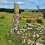One of the moor's many granite gateposts, now sans gate