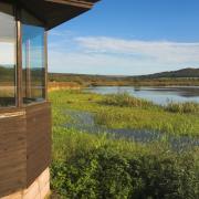 Birdwatchers looking out from Lillian's hide across Leighton Moss RSPB reserve,
