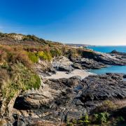 Prussia Cove was praised as being a great picnic spot for a number of reasons