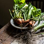 Vegetables are taken to the pub every day.