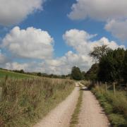 Bridleway track to Ashmore Barn Farm at the start of the walk.