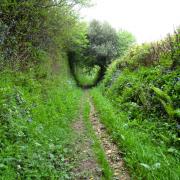 A lovely sunken path leading to Yarde Farm. Photo: Simone Stanbrook-Byrne