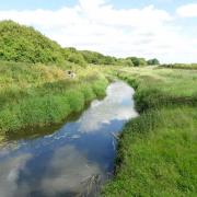 The gentle River Gowy.