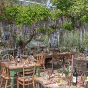 Enjoy the delights of fine Cornish fare in the unusual setting of a greenhouse at Potager Garden