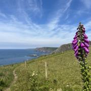 Enjoy stunning views from the South West Coast Path