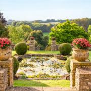 Taking out a large tree allows the  view to extend out into the Cotswold countryside.