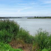 The Severn near Newham