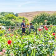 In summer the flower beds are filled with a dazzling array of blooms.