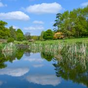 Robin's Brook at Markshall Estate