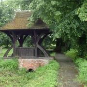 A peaceful walk in the countryside