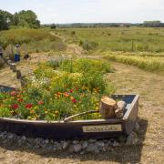 Take a wander along the coastline