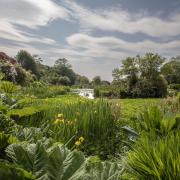 Glenwhan Gardens and Arboretum