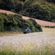 £150 million from the National Lottery Heritage Fund will go towards helping nature recover projects.