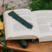 Medical herbalism is an ancient practice which still holds great relevance today. Photo: Karen Staniland Platt