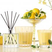 Nest New York Sunlit Yuzu & Neroli Classic Candles & Diffuser.