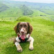 Time for a sit down, by Chrome Hill and Parkhouse Hill