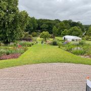 Have you been for a stroll around RHS Harlow Carr in Harrogate?