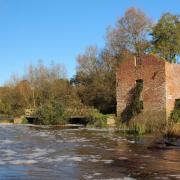 The ruins of Cutt Mill on the River Stour