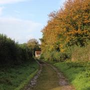 The bridleway track up from Newfield House.