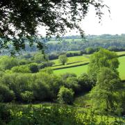 Lovely views throughout the walk across pastoral countryside