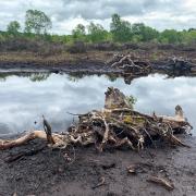 Dramatic Lindow Moss - scene of a historic archaeological discovery.