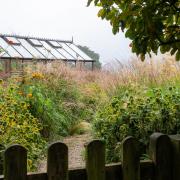 The Dry Garden may have been born out of necessity but it is one of Jane's favourite parts.