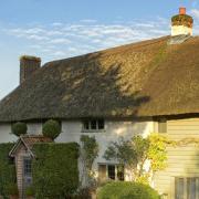 A stunning thatched cottage in nearby Nether Wallop.