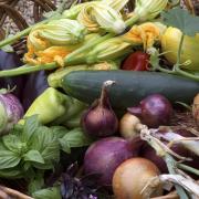 A satisfying harvest