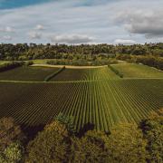 Chapel Down